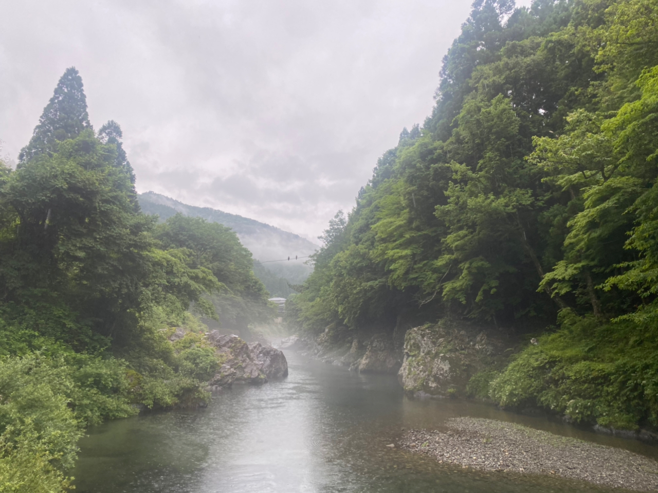 アマゴ