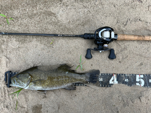 スモールマウスバスの釣果