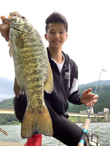 スモールマウスバスの釣果