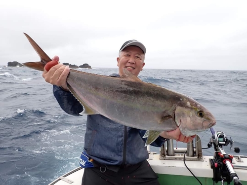 ヒレナガカンパチの釣果