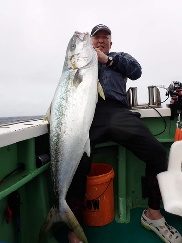 ヒラマサの釣果