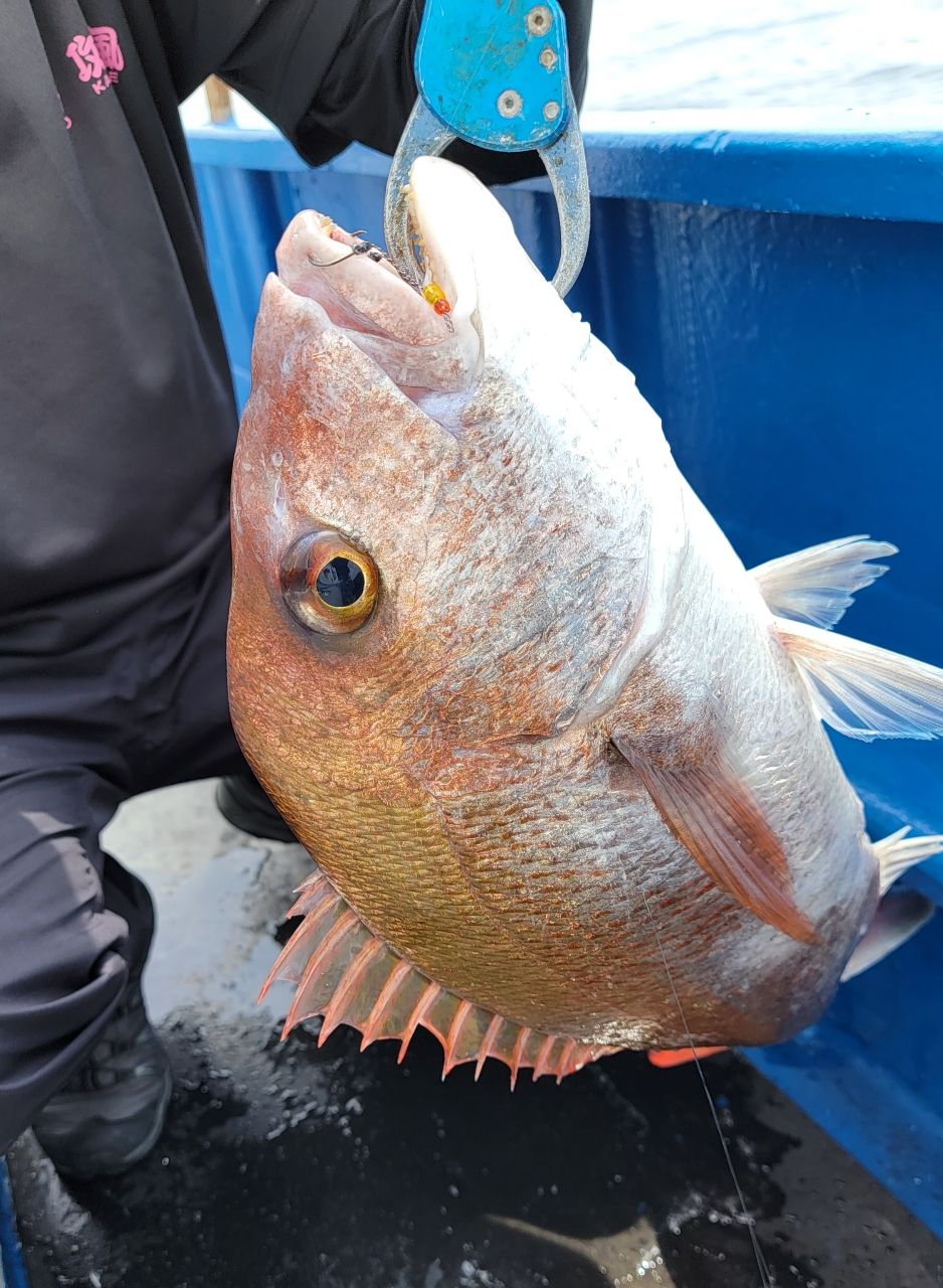 かわぐーさんの釣果 2枚目の画像