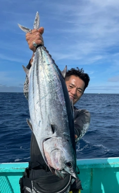 カツオの釣果