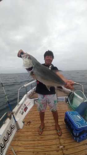 オニヒラアジの釣果