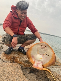 アカエイの釣果