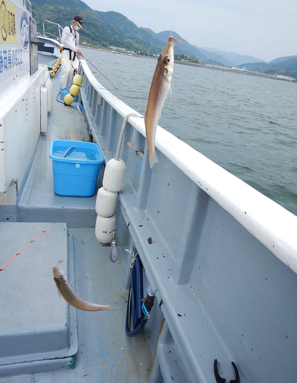 GT長島さんの釣果 2枚目の画像