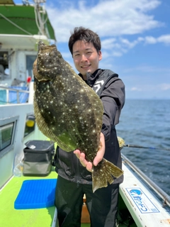 ヒラメの釣果