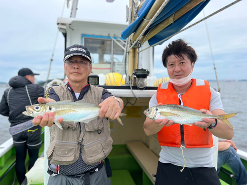 マアジの釣果