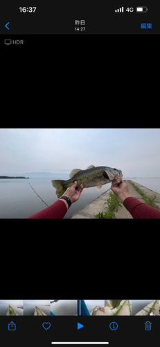 ブラックバスの釣果