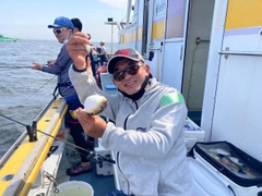 ショウサイフグの釣果