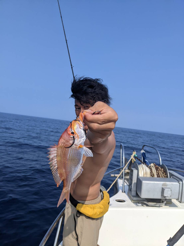 レンコダイの釣果