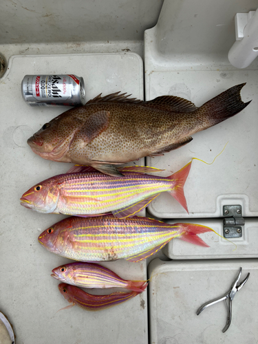 タイの釣果