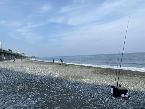 ワカシの釣果