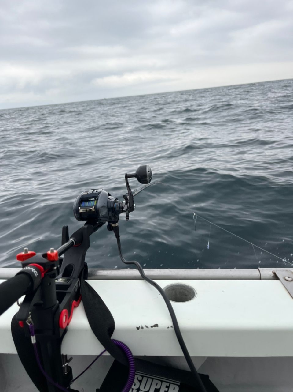 T.Taïgaさんの釣果 2枚目の画像