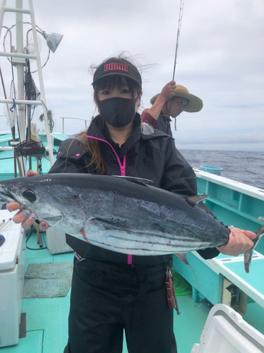 カツオの釣果