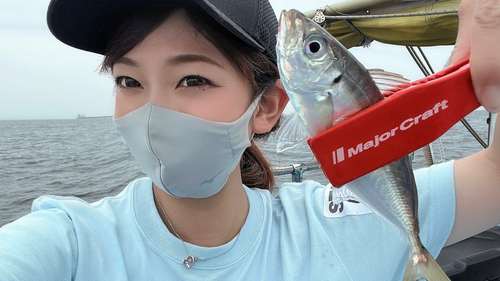 マアジの釣果