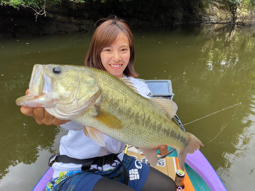 ブラックバスの釣果