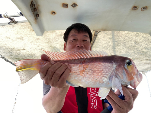 アマダイの釣果