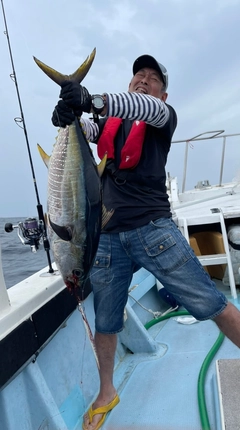 キハダマグロの釣果