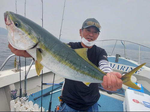 メジロの釣果