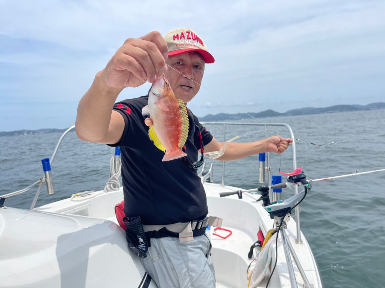 ホシササノハベラ