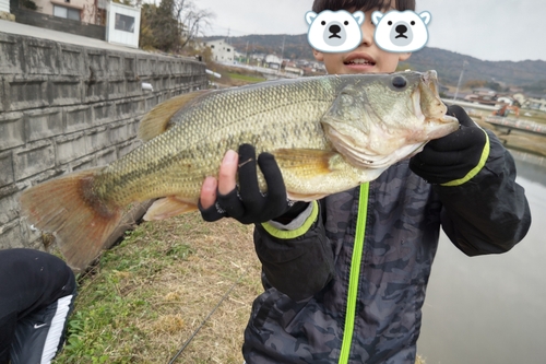 ブラックバスの釣果