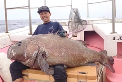 イシナギの釣果