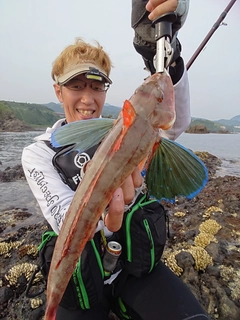 ホウボウの釣果