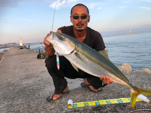 ブリの釣果