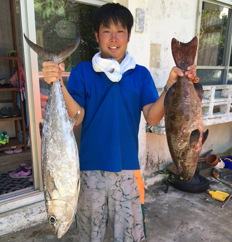 イソマグロの釣果