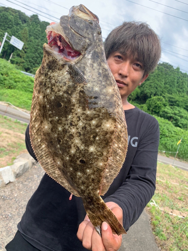 ヒラメの釣果