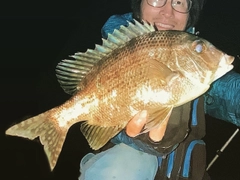 メイチダイの釣果