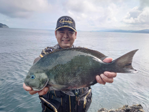 クチブトグレの釣果