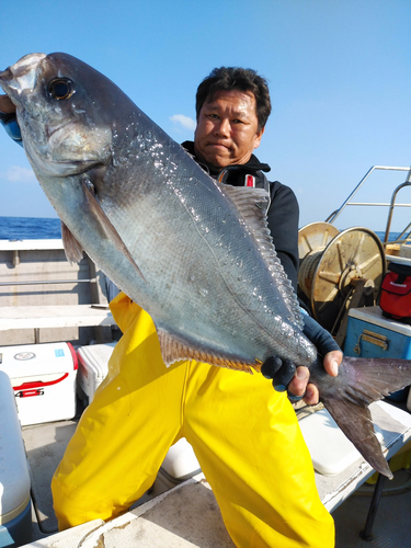 メダイの釣果