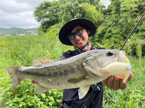 ブラックバスの釣果