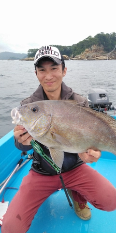 コロダイの釣果