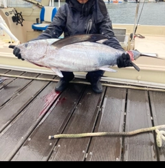 ビンチョウマグロの釣果