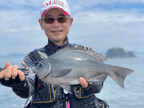 メジナの釣果