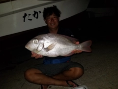 シロダイの釣果