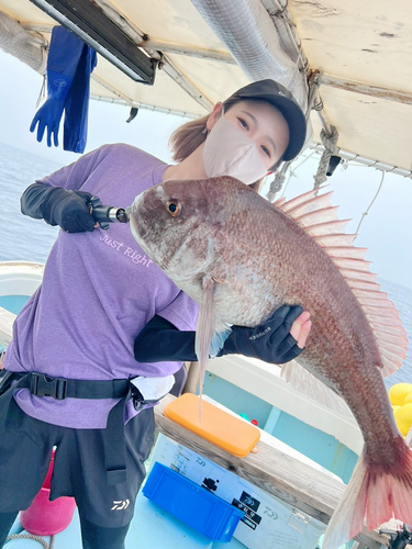 タイの釣果