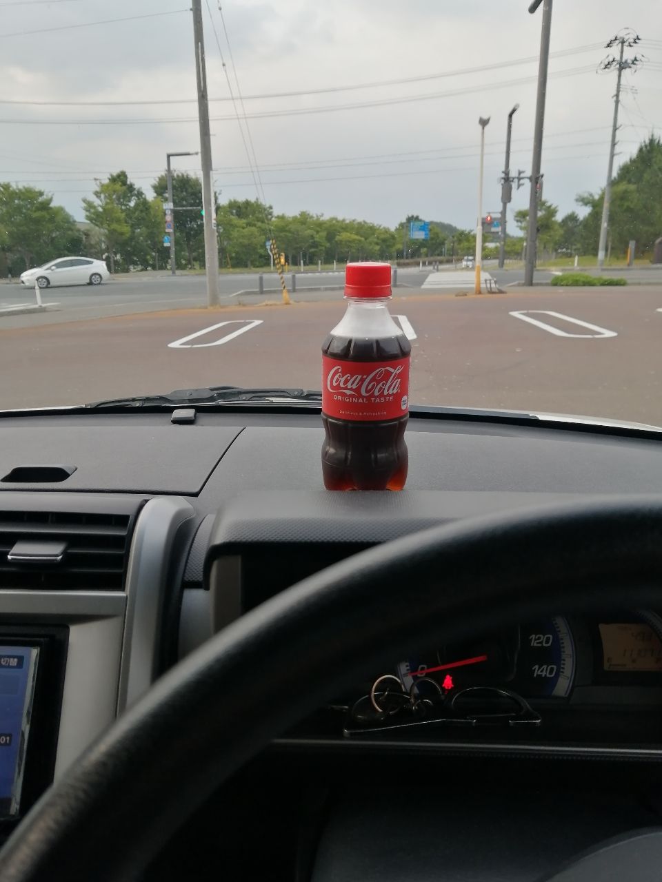 シーバス