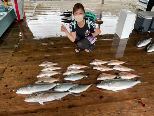 マダイの釣果