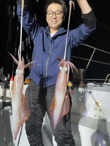 ケンサキイカの釣果