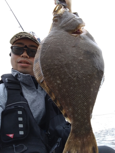 マツカワの釣果