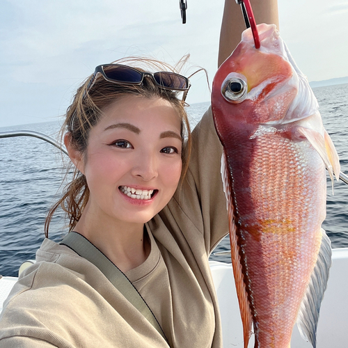 アマダイの釣果