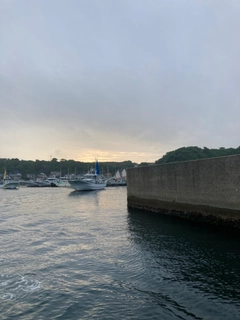 ウマヅラハギの釣果