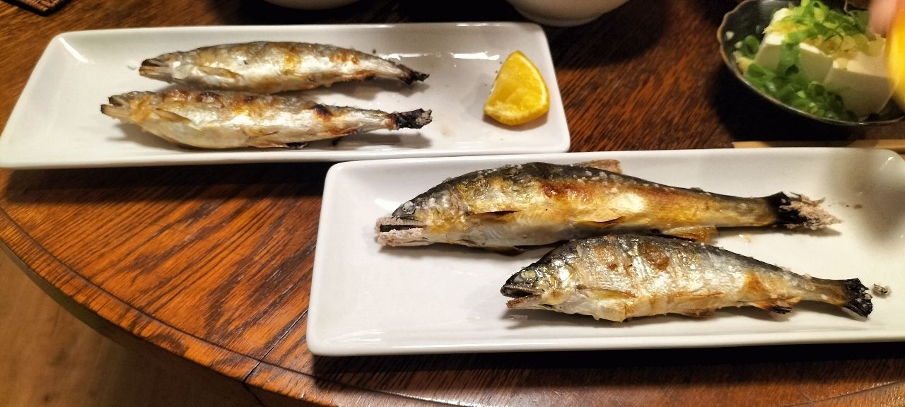 アユの釣果写真