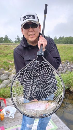 ニジマスの釣果