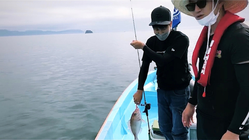 マダイの釣果