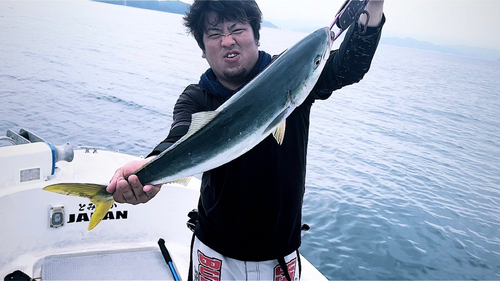 ハマチの釣果